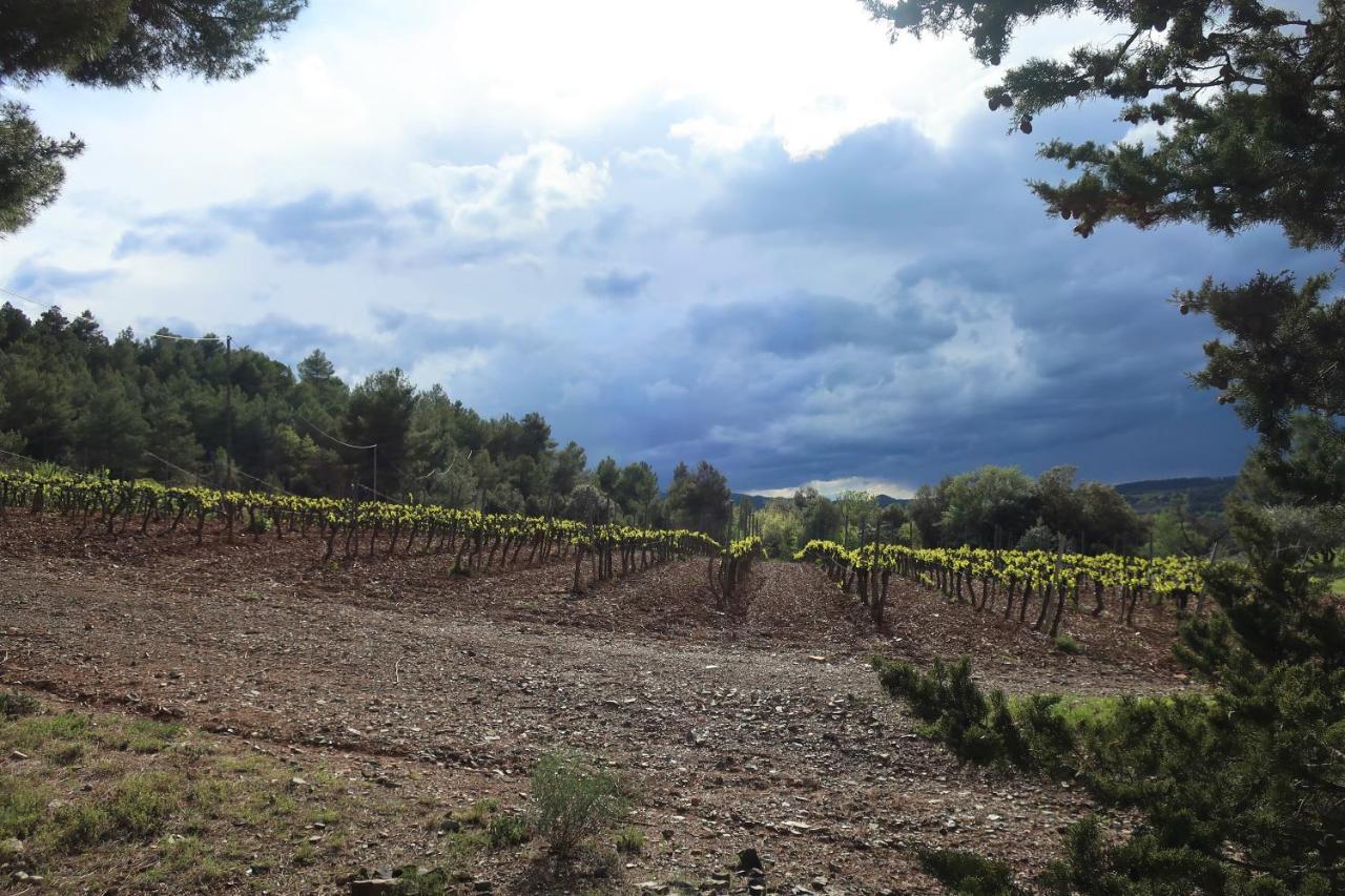 Masia Sagues Poblet Exterior photo