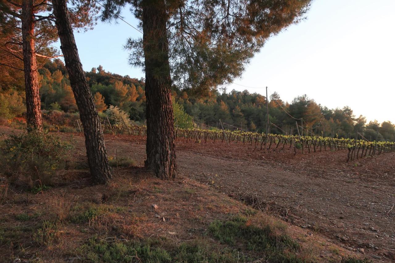 Masia Sagues Poblet Exterior photo