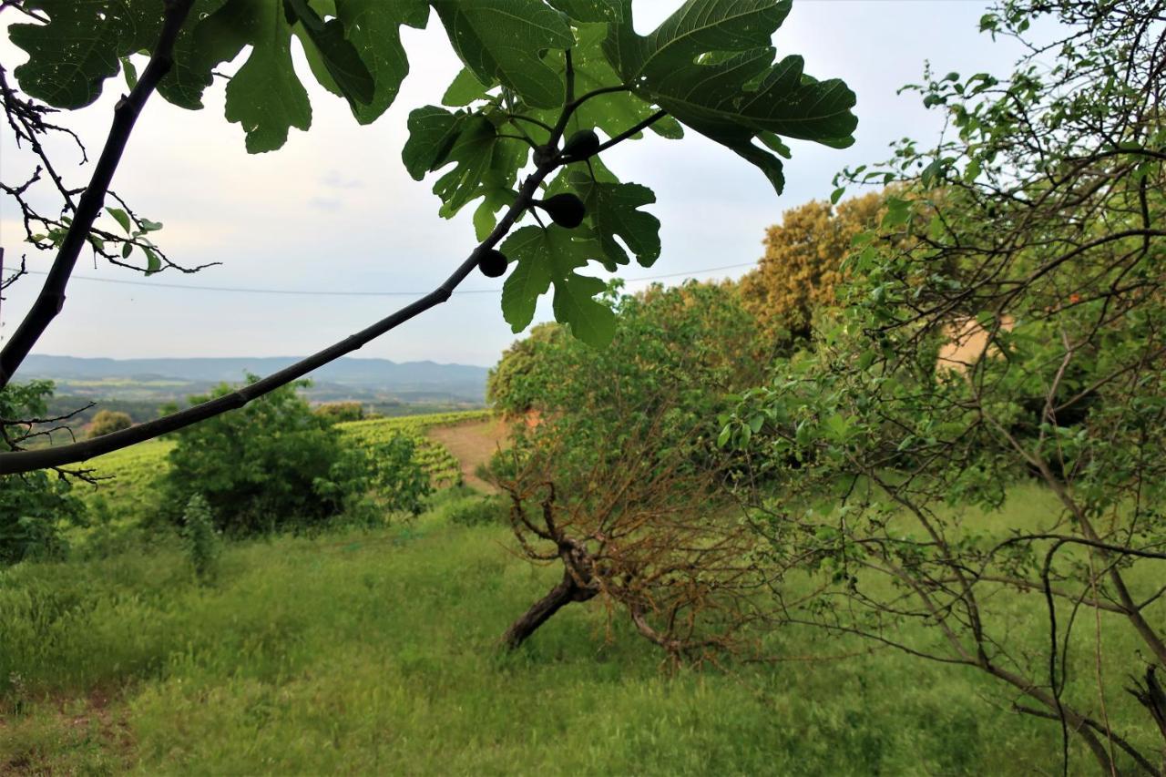Masia Sagues Poblet Exterior photo